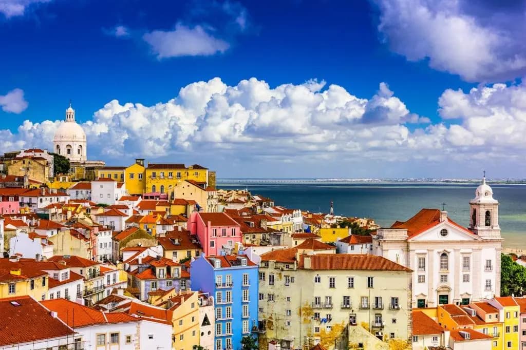 Cozy Flat at Lisboa - photo 8