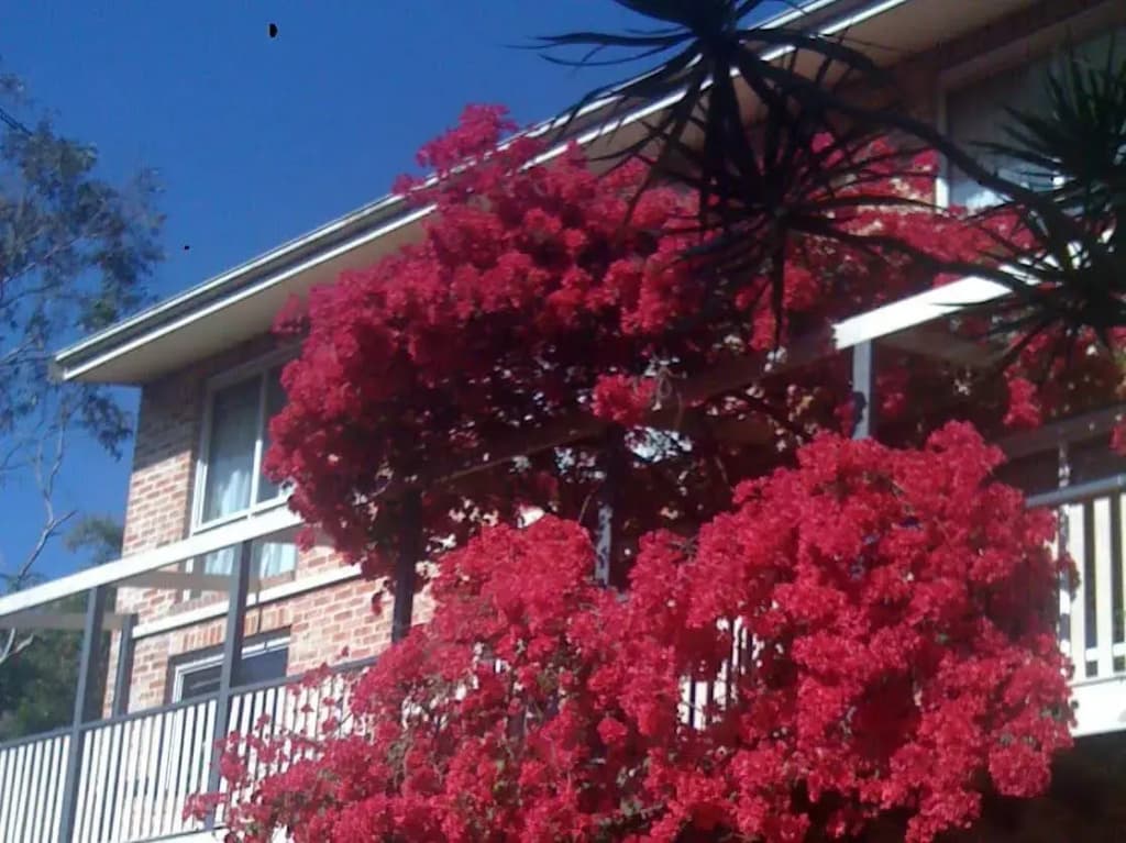 Linley House Bed & Breakfast - photo 16