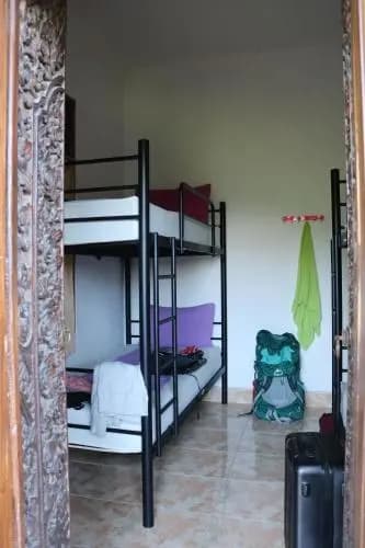 Beachbums Berawa Hostel - photo 5