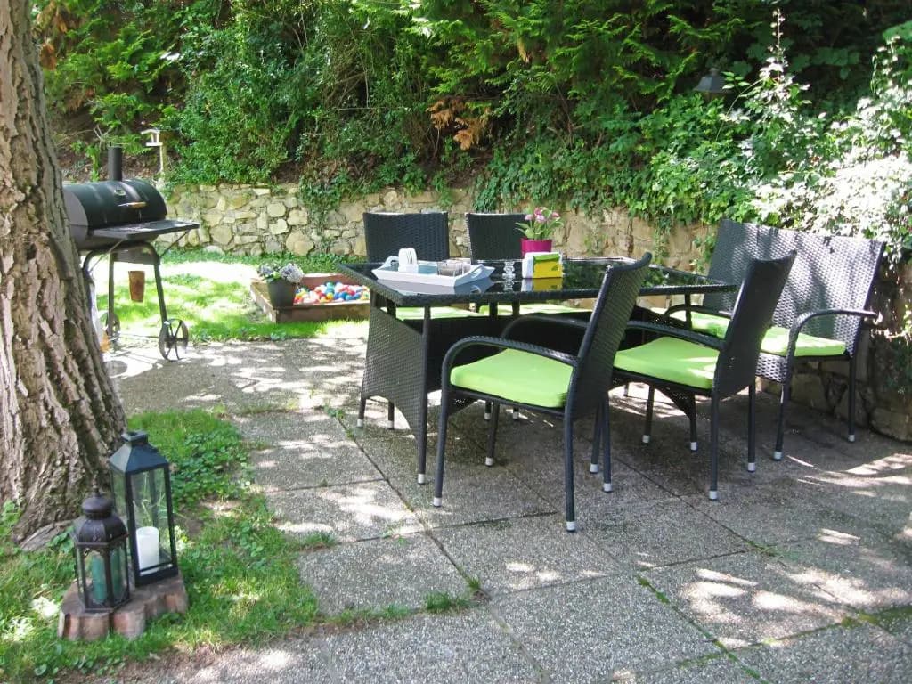 Danube view house with garden - photo 11