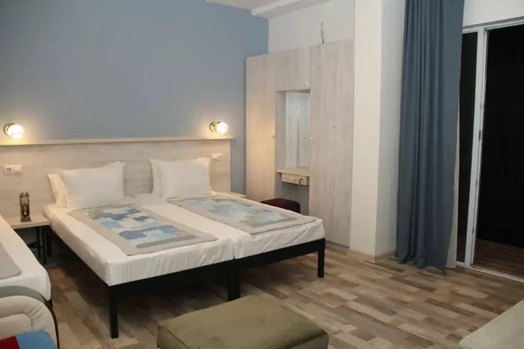 Hotel Delisi - photo 5