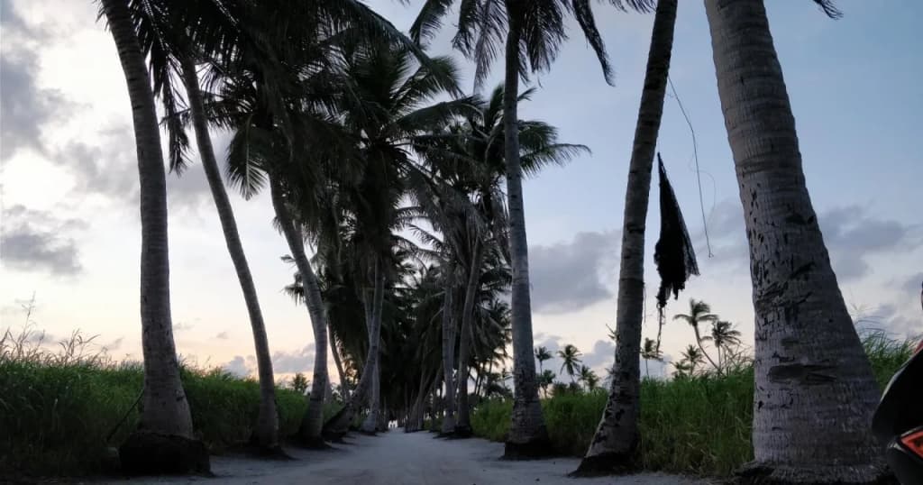 Athiriveli - photo 8