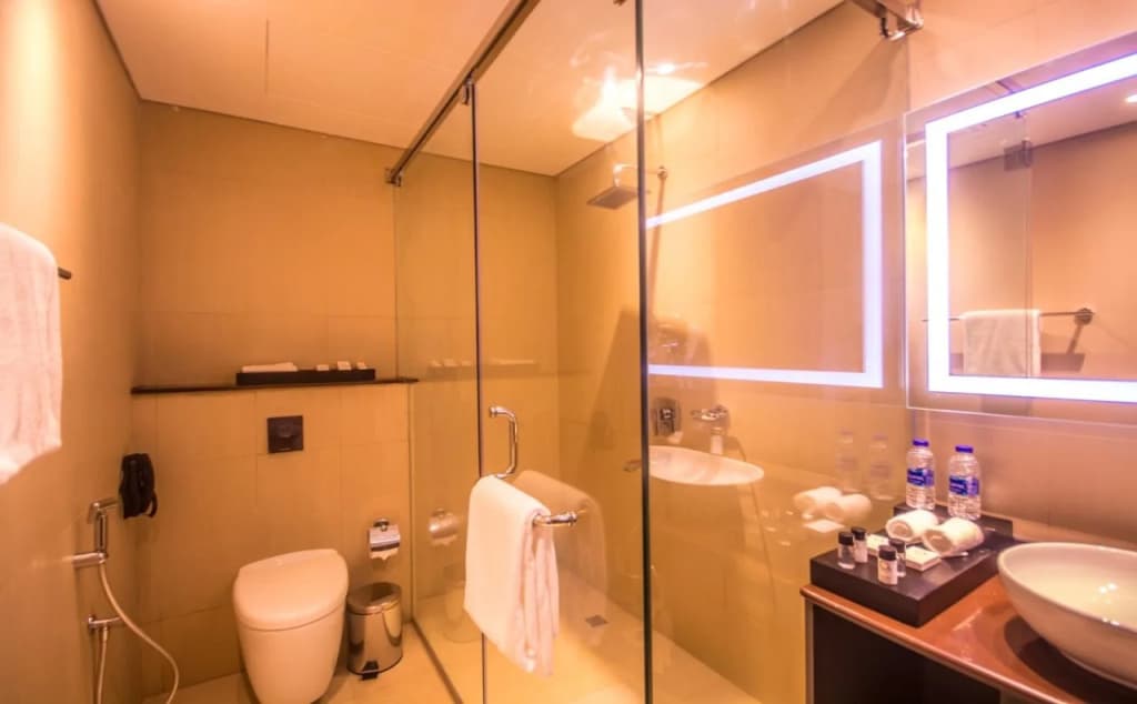 Carnelian Muscat — Airport Hotel - photo 15