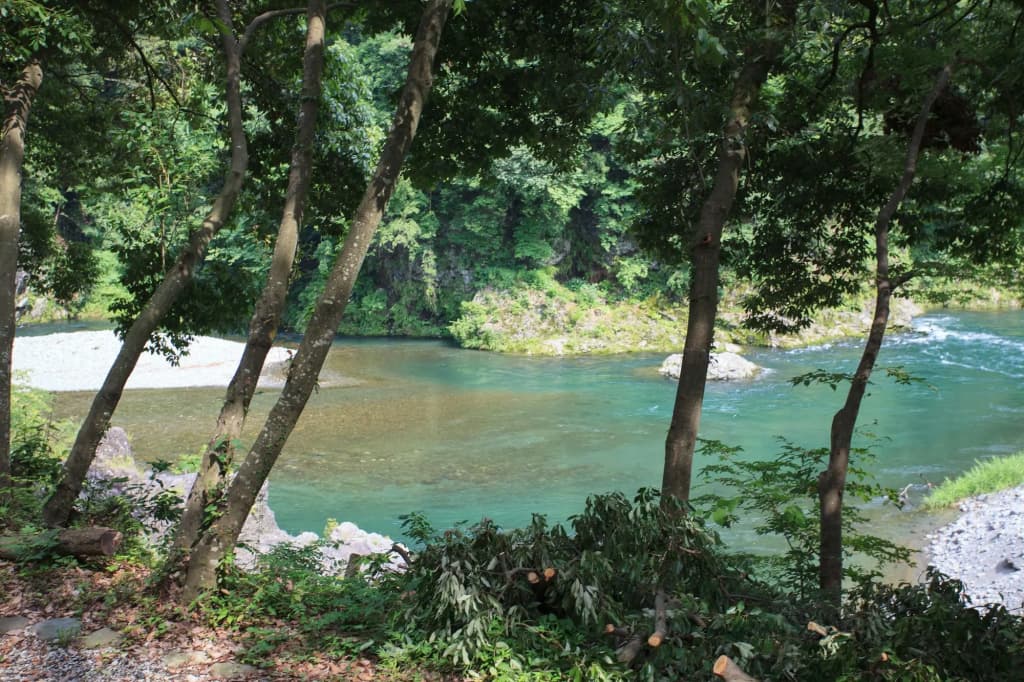 Okutamaji - photo 16