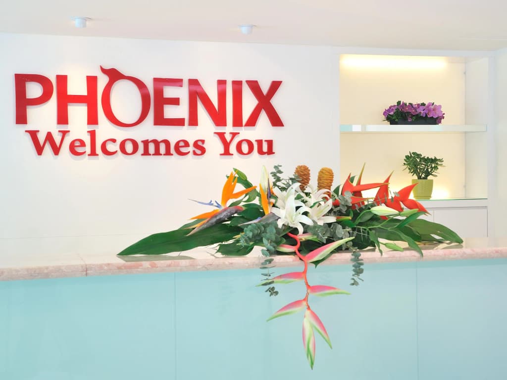 Phoenix Hotel - photo 1