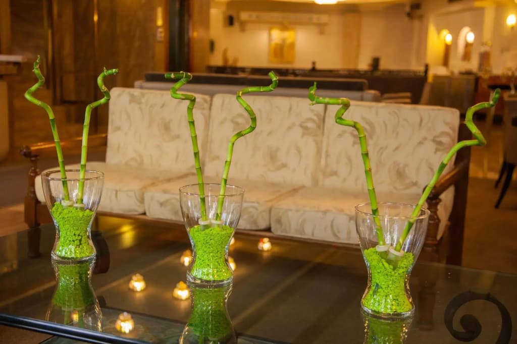 Acropolis View Hotel - photo 9