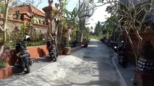 Kubu Loris Residence - photo 4