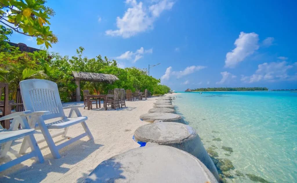Rashu Hiyaa - photo 16