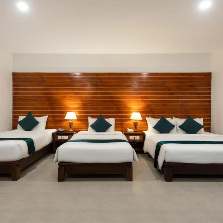 Green Amazon Residence - photo 38