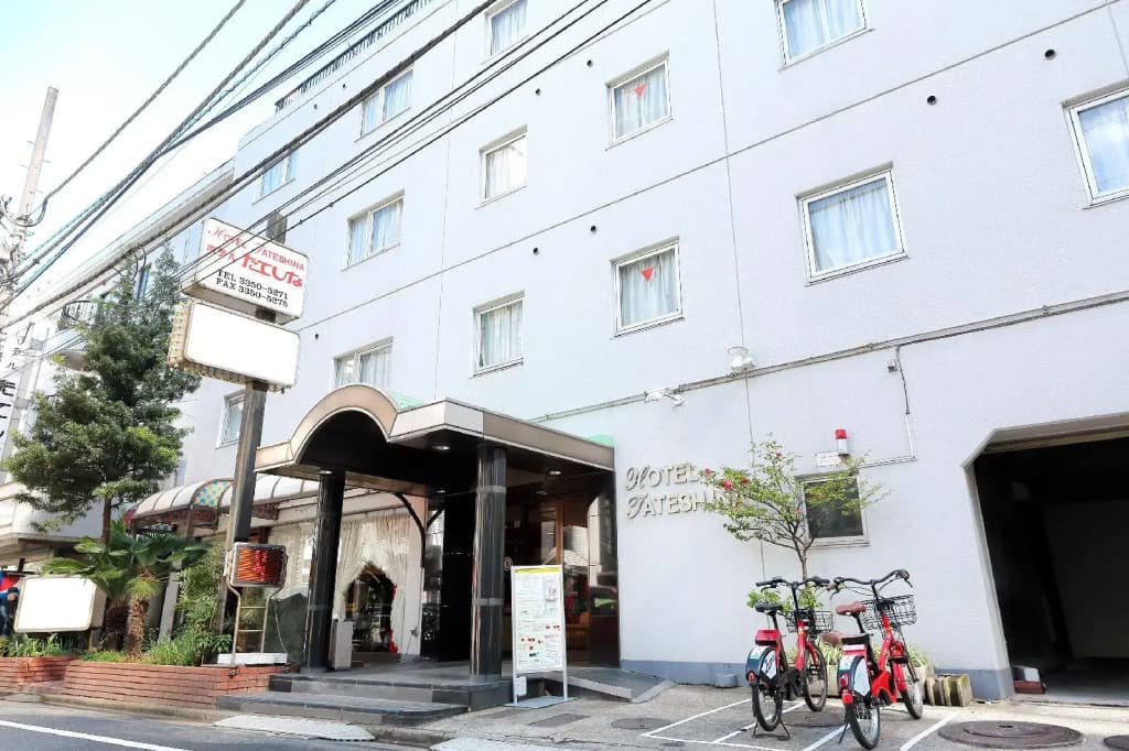 Tateshina Hotel - photo 26