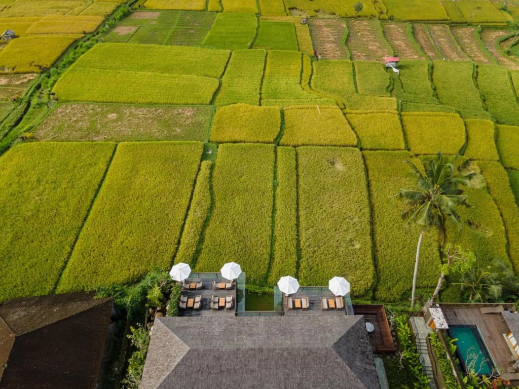 Kappa Senses Ubud Hotel - photo 22