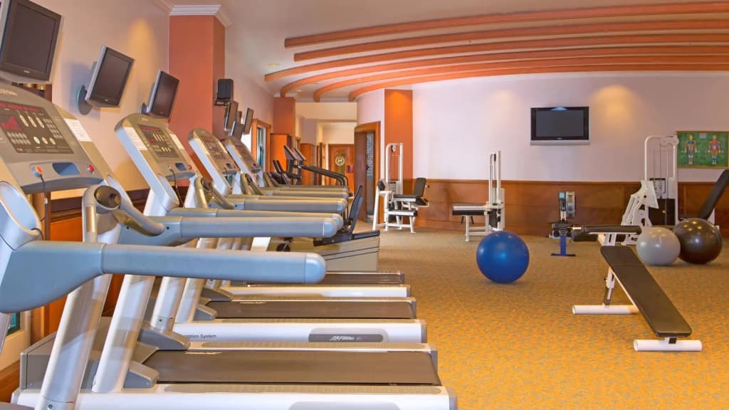 Sheraton Hanoi Hotel - photo 22