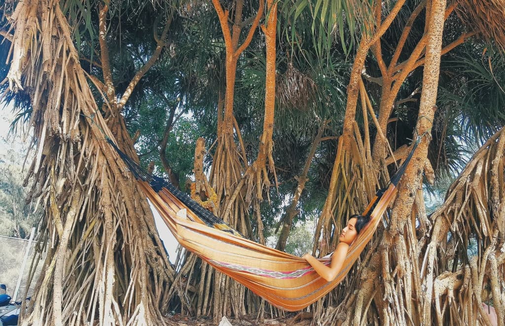 The Camp Hostel Kata Beach - photo 6