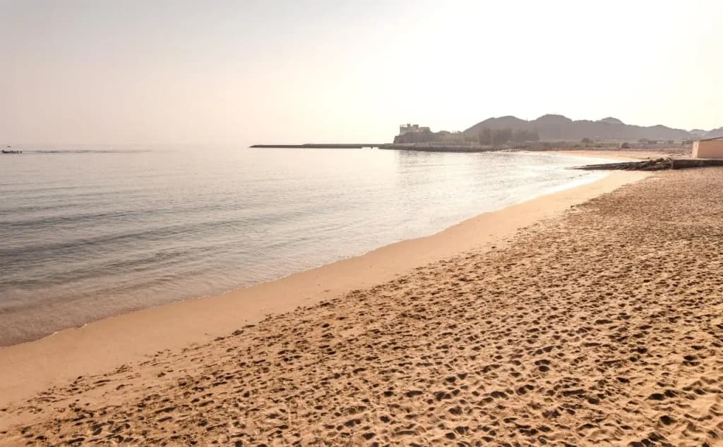 Royal Beach Hotel & Resort - photo 25