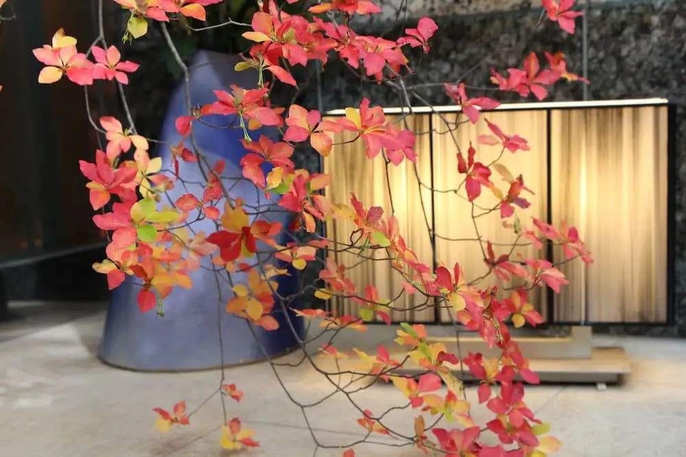 HOTEL APiO - Adults Only - photo 13