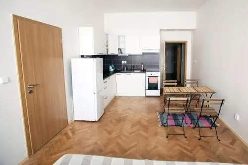 Comfortable Apartment Vlkova - photo 17