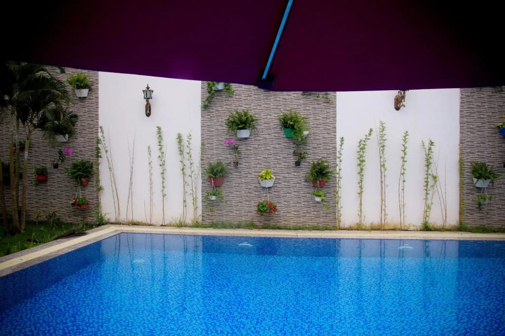 Lavender Resort - photo 17