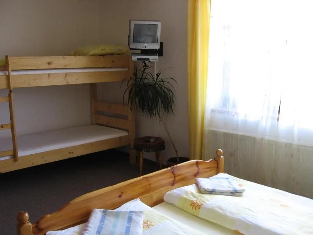 Pension Trojská - photo 1