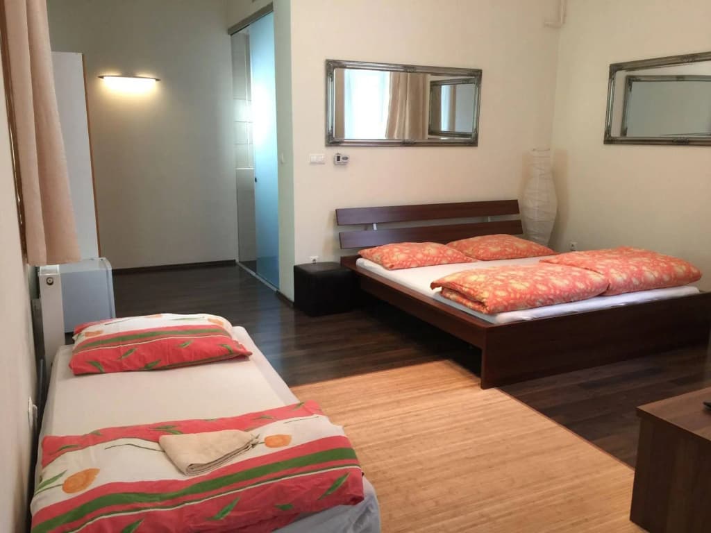 Corso Apartment Erzsebet - photo 5