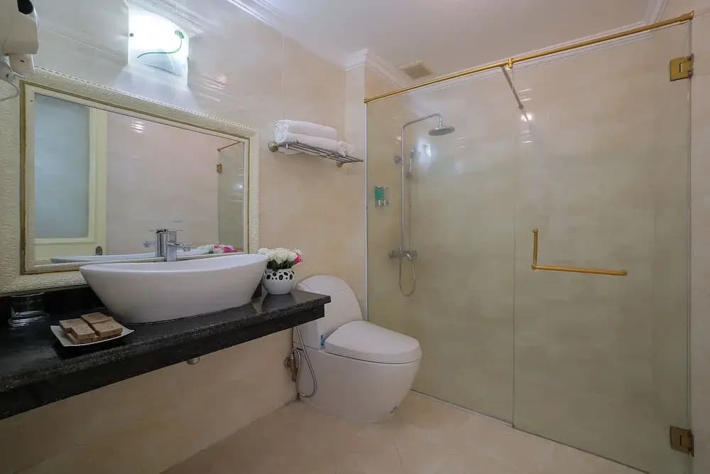 Hanoi Louis Hotel - photo 10