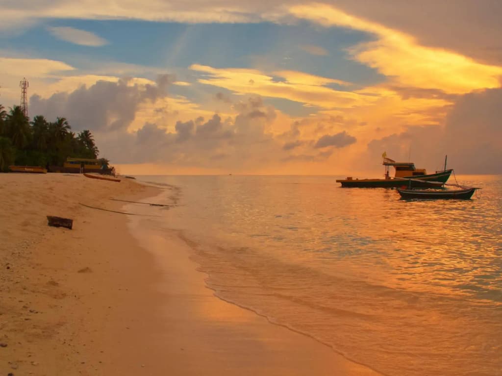 Thundi Sea View - photo 34