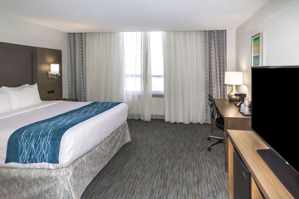 Comfort Inn & Suites Downtown Brickell-Port of Miami - photo 4
