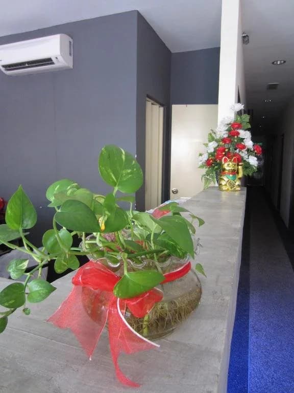 SK Hotel 2 - photo 14