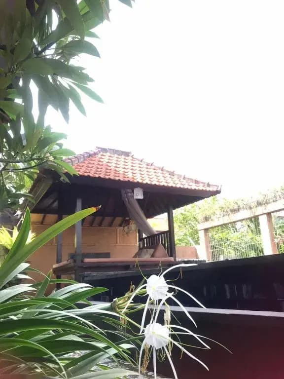 Leo home stay 2 - photo 9