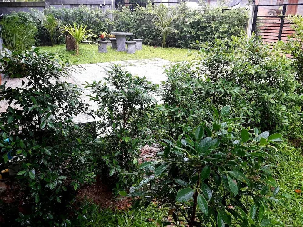 Lanta K Home - photo 11