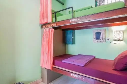 Padi Home - photo 3