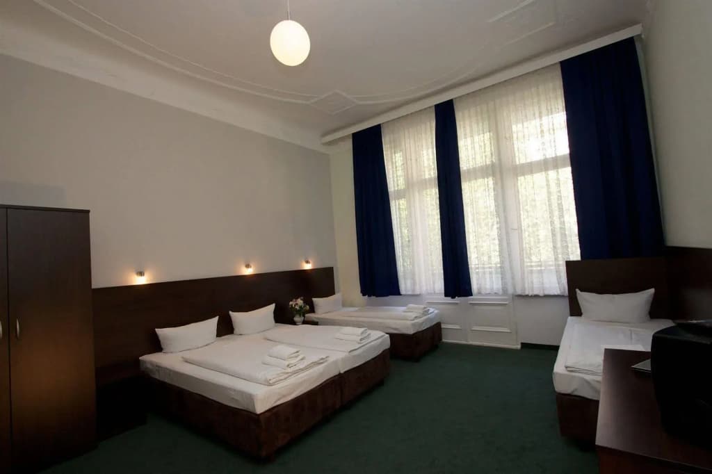 Arta Lenz Hotel - photo 2