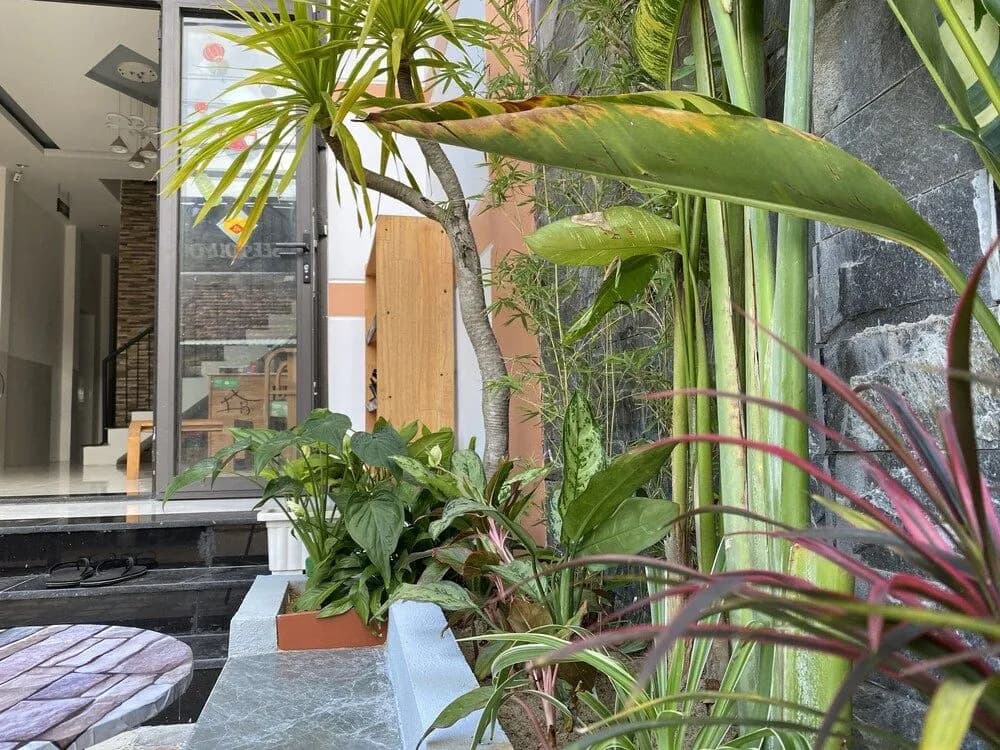 Little Boss Homestay - photo 16