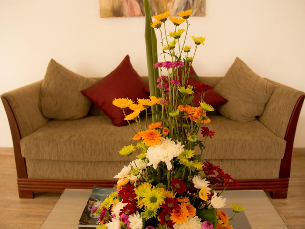 Ellens Place - photo 3