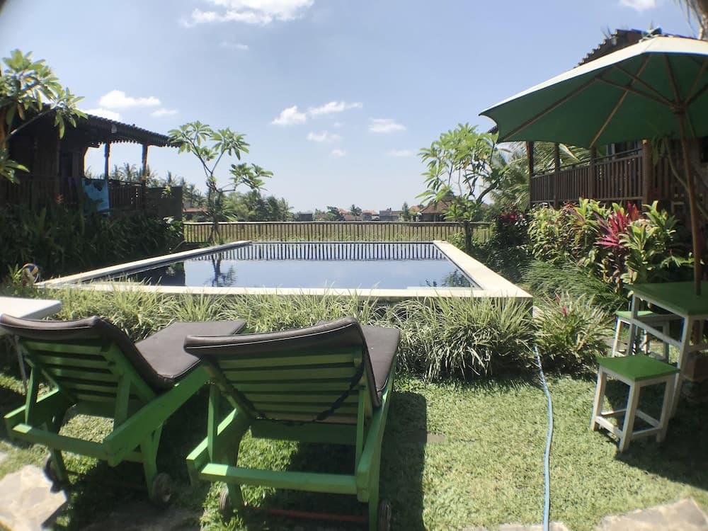 Green Paddy Hostel - photo 20
