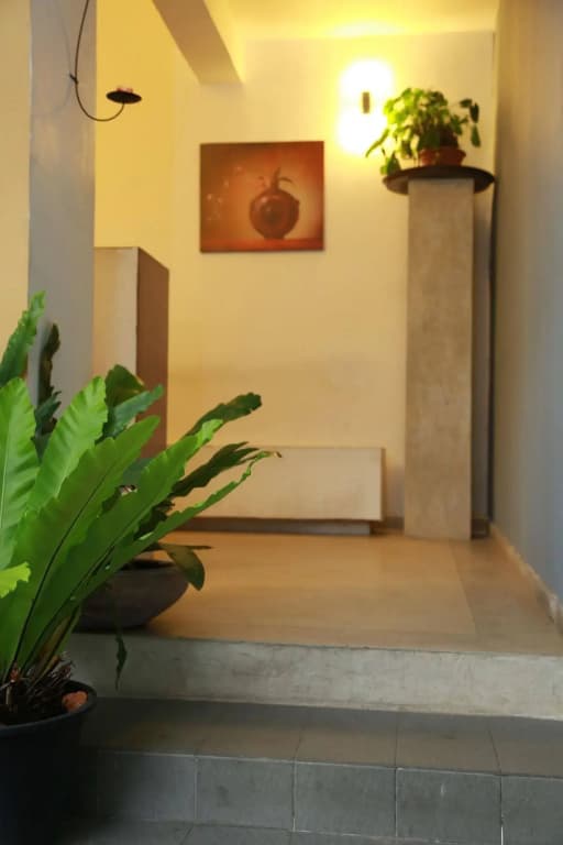The Canes Boutique Hotel - photo 15