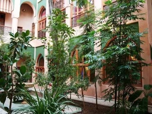 Riad Zouina - photo 12