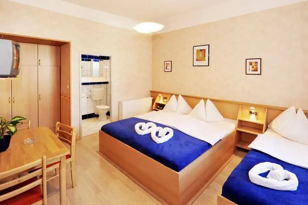 Hotel Franzenshof - photo 4