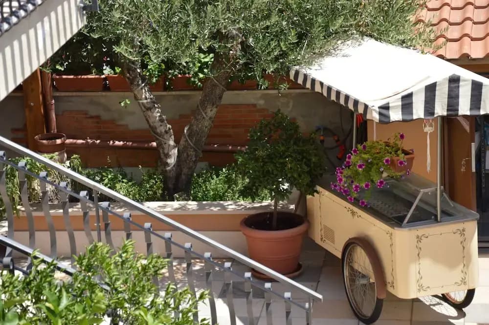 Hotel Maximo - photo 14