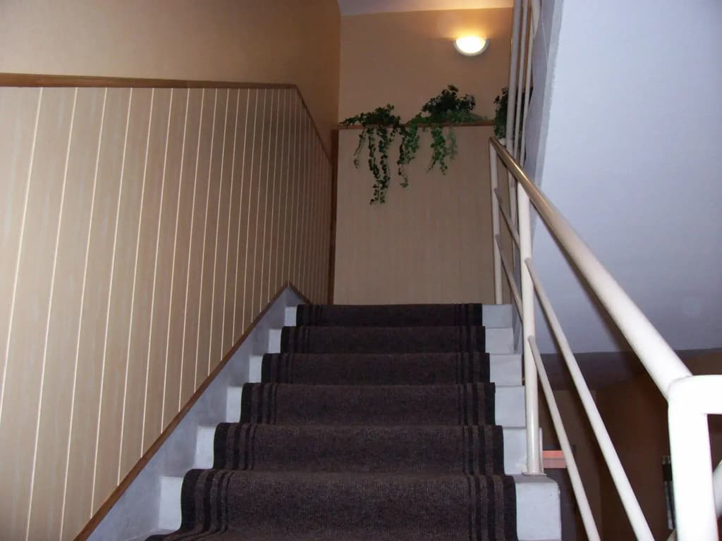 Hotel Timon - photo 10