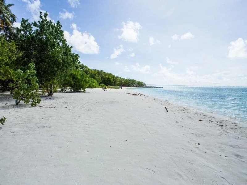 Riveli Retreat at Mathiveri Maldives - photo 27
