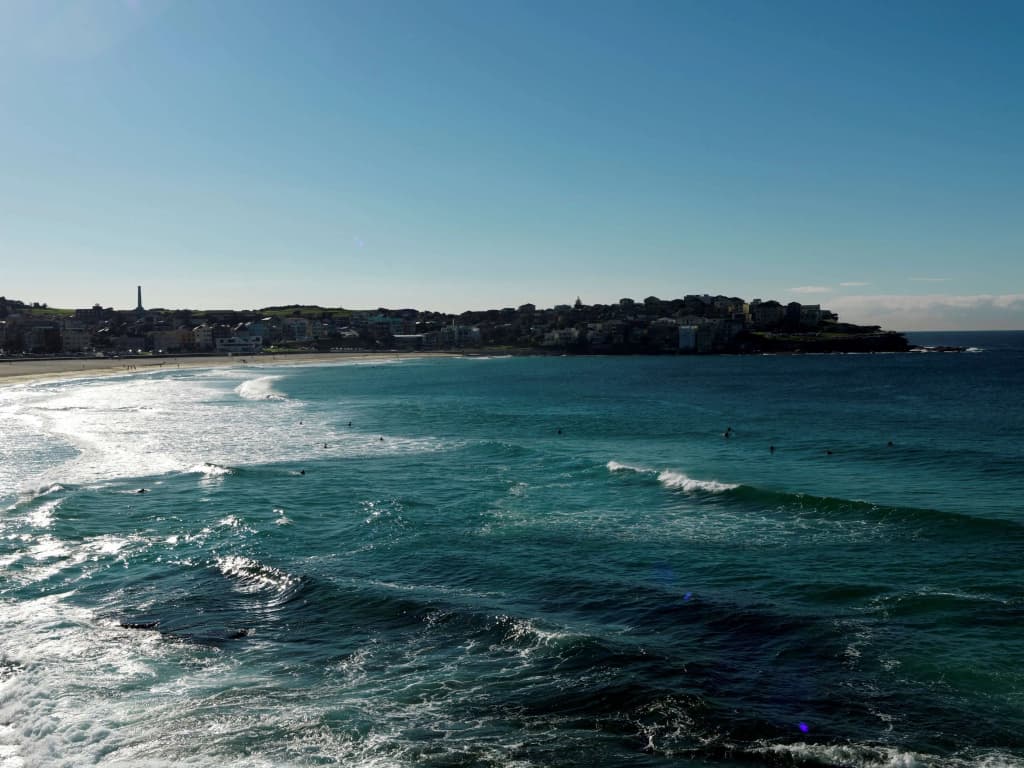 QT Bondi - photo 20