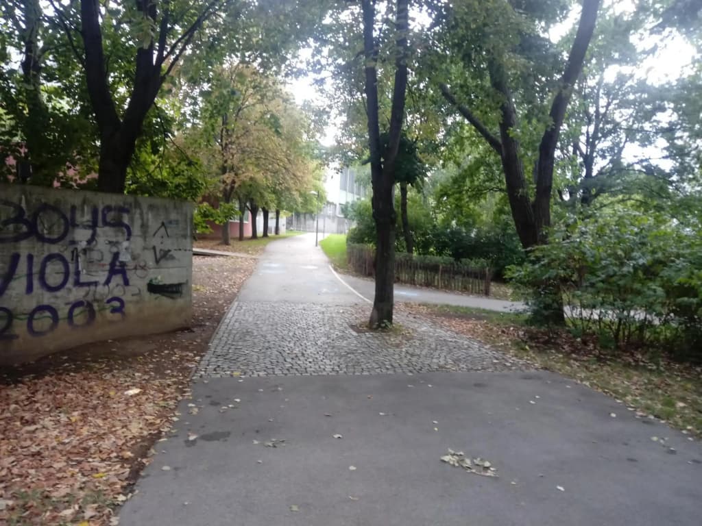 Vienna as it's best - photo 26