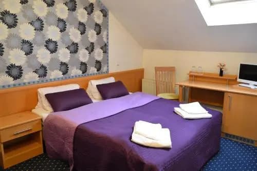 Hotel Aladin - photo 6
