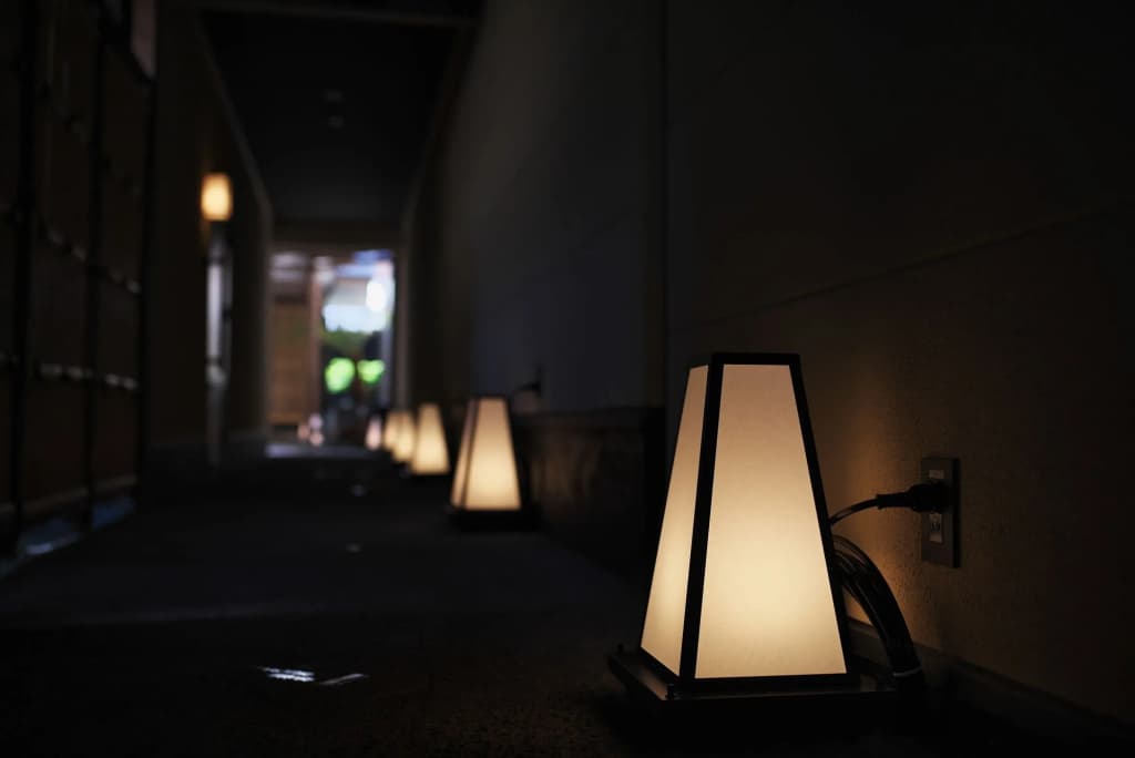 Takeya Nishijin - photo 11