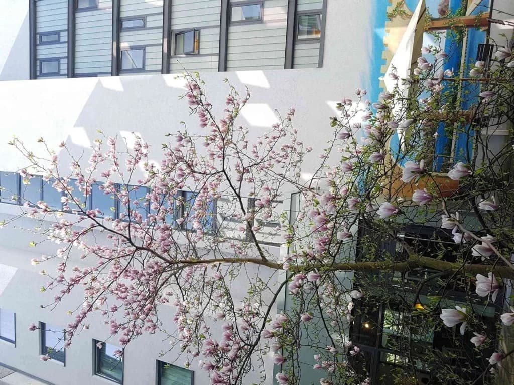 B&B Hotel Berlin City-West - photo 41