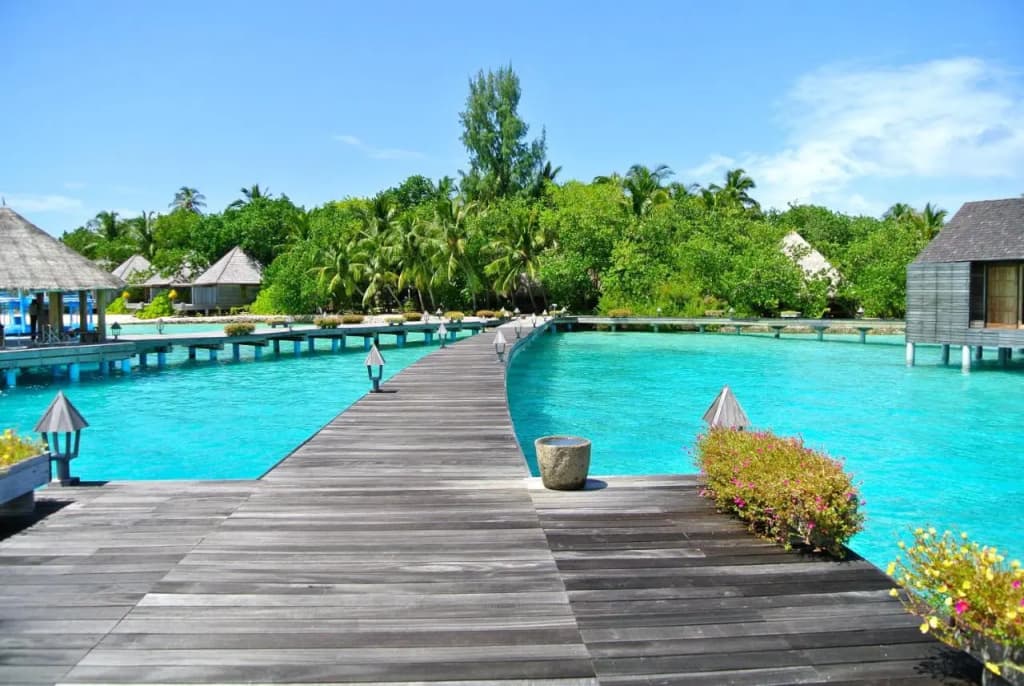 Gangehi Island Resort - photo 17