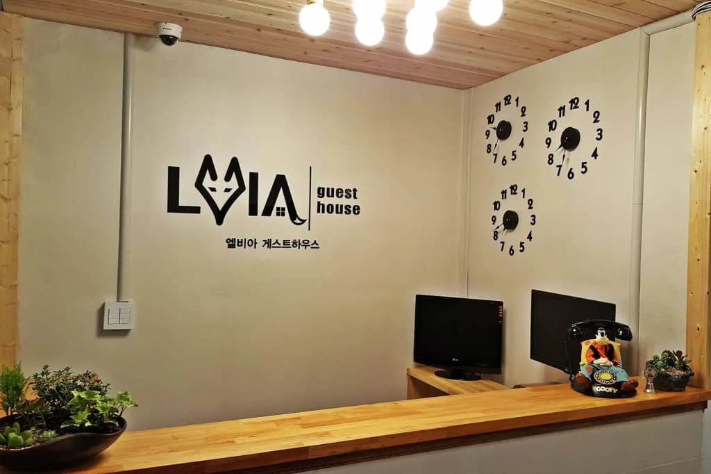 LVIA Guesthouse - Hostel - photo 16