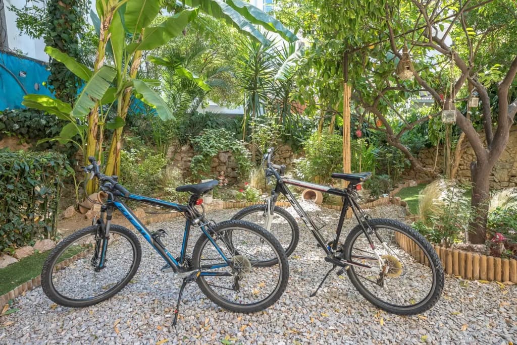 Athens Garden House - Heated Jacuzzi - free bikes - photo 11