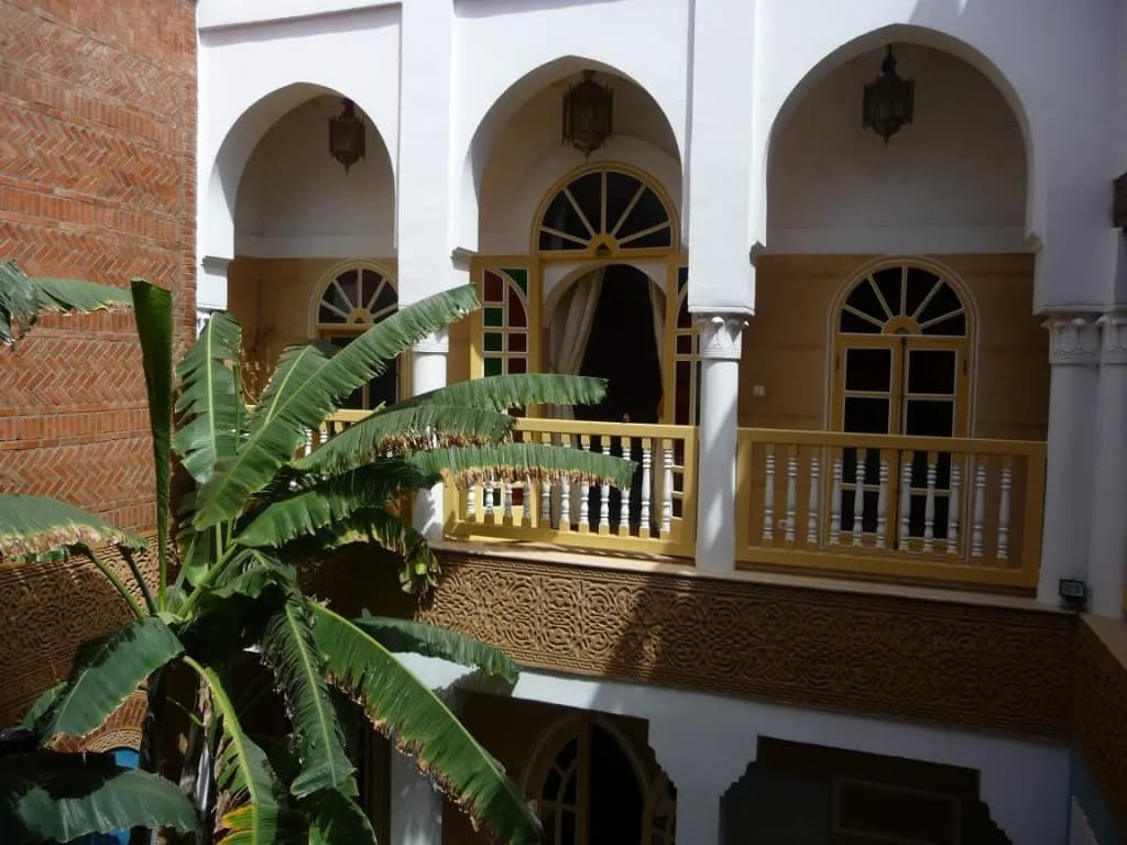 Riad Habib - photo 1
