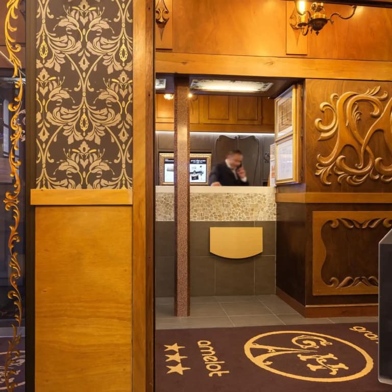 Grand Hôtel Amelot - photo 13